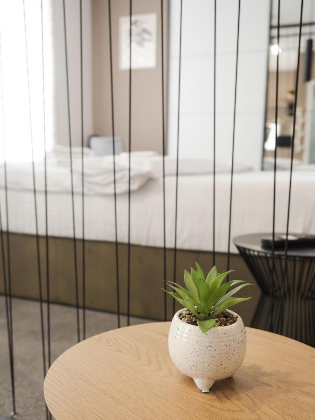Gavas Cozy Studios Central David Prodan Kolozsvár Kültér fotó
